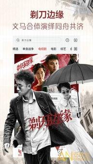 1204基地国产看片你懂的,国产影视盛宴背后的故事